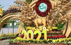 Cần Thơ dự kiến bắn pháo hoa, tổ chức đua xe phân khối lớn mừng Xuân 2022