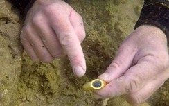 Phát hiện kho báu cổ quý giá từ xác tàu đắm