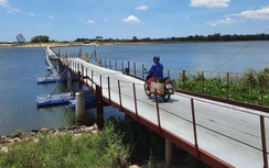 Quảng Trị thi tuyển phương án kiến trúc cầu thuộc dự án 2.060 tỷ