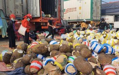 Nông sản rớt giá thảm vì tắc biên, kích cầu tiêu thụ nội địa cách nào?