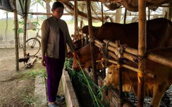 Chăm lo xóa nghèo cho đồng bào dân tộc ở Sóc Trăng