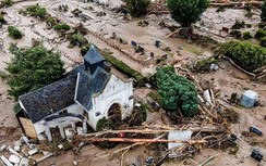 Nhà tiên tri dự đoán năm 2022: Nhiệt độ cao "luộc" chín cá đại dương