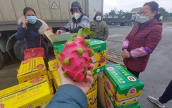 Cửa khẩu ách tắc, tài xế nấu ăn dưới gầm xe, QL 1A ùn ứ nghiêm trọng
