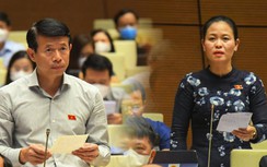 Nhiều đại biểu "tha thiết" đề nghị cao tốc đi qua địa phương mình