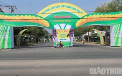 Khách dự Festival Lúa gạo Việt Nam lần thứ V cần điều kiện gì?