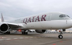 Airbus bị kiện, đòi bồi thường hơn 618 triệu USD chỉ vì... lỗi sơn