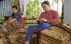 Nông dân vùng ĐBSCL ổn định cuộc sống, đổi đời từ cây lục bình