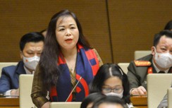 ĐBQH băn khoăn khi Trung Nam Group xây dựng truyền tải điện ở Bình Thuận