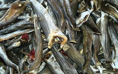 Về miền Tây, thưởng thức ẩm thực "độc" ngày Tết