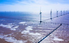 Khánh thành nhà máy điện gió công suất 100 MW tại Trà Vinh