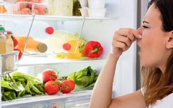 Dọn nhà đón Tết: 6 "mẹo" khử mùi tủ lạnh hiệu quả