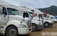 Vụ chi trăm triệu mua “lốt” xe xuất khẩu nông sản: Bộ Công thương nói gì?