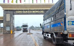 Điều tra: Tài xế vạ vật cả tháng ở Móng Cái vì không đủ tiền “đóng luật”