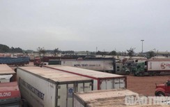 Nóng: Bộ Công thương thành lập Ban chỉ đạo giải quyết ùn tắc nông sản