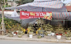 Hải Phòng: Đìu hiu chợ hoa Tết Nhâm Dần 2022