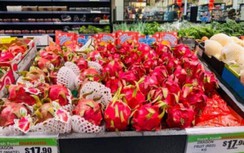 Tắc biên với Trung Quốc, thanh long sang Australia giá tới 200.000 đồng/kg