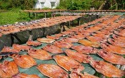 Mê mẩn cách làm khô cá lóc ở miền Tây ngày Tết