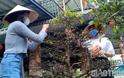 Rộn ràng sắc Xuân nơi cực Nam Tổ quốc