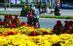 Chợ hoa bung sắc, thấp thỏm chờ... người mua