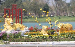 Ngắm linh vật năm Dần bên “công viên nhạc nước” trên đất Cố đô