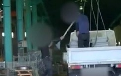 Vụ thực tập sinh VN bị bạo hành: Nhật Bản có tuyên bố mới