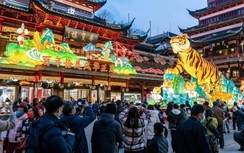 Hoạt động chuẩn bị đón Tết Nguyên đán 2022 tưng bừng khắp châu Á