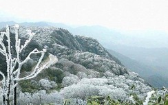 Cảnh báo rét hại, băng giá, mưa tuyết tại Bắc Bộ