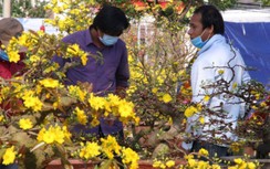 Chợ hoa Tết Đà Nẵng đìu hiu, tiểu thương lướt điện thoại... chờ khách