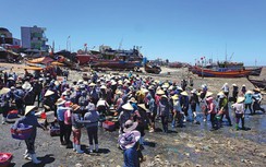 Giấc mơ lấn biển của làng đông dân nhất nước