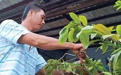 Tết sum vầy sau tháng ngày dài tha hương