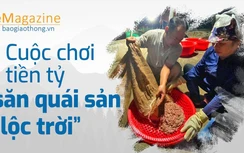 Emagazine: Chi tiền tỷ "đánh bạc" với "lộc trời"