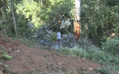 TNGT 6 người chết ở Gia Lai: Công an làm việc với chủ phương tiện, chủ hàng