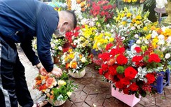 Hoa hồng tăng giá gấp 5 lần, thị trường Valentine kém sôi động