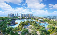 WTO thông báo mời thầu