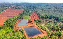 Dự án du lịch sinh thái ở Quảng Trị từng bị phạt vì phá rừng hiện thế nào?