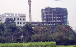 Sơn Tây xin "hợp thức" vi phạm tại Đồi Vua, Sơn Đông, Hà Nội nói gì?