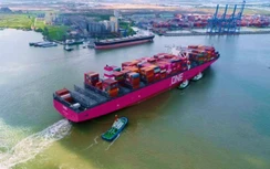 Cách nào giúp chủ hàng Việt thoát độc quyền của hãng tàu ngoại?