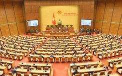 22 ủy viên Trung ương, Bí thư tỉnh được bầu làm Chủ tịch HĐND cấp tỉnh