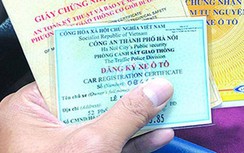 Nộp phạt vi phạm online, nhờ người đến lấy giấy tờ được không?