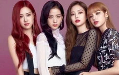 Black Pink gây kinh ngạc về số lượng bài hát, fan quyết "sống mái" với YG