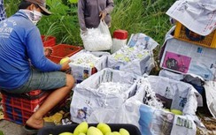 An Giang "đổi phận" cho trái xoài sau ùn tắc ở cửa khẩu Lạng Sơn