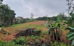 Dự án đường hành lang kinh tế Đông Tây nối dài gặp khó vì vướng GPMB