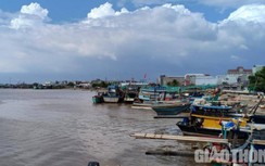 Giá xăng dầu “nhảy múa”, ngư dân ra khơi nơm nớp lo lỗ vốn