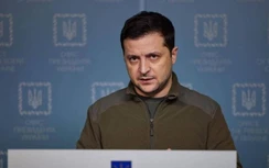 Nga: TT Putin đã dừng chiến dịch để đối thoại nhưng Ukraine từ chối