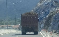 Hãi hùng đoàn xe quá tải ồ ạt san lấp Khu phức hợp trăm tỷ ở Bình Định