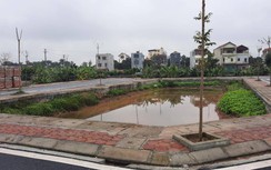 Đấu giá đất ở Đan Phượng bị "tuýt còi": Sở Tư pháp Hà Nội nói gì?