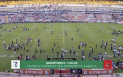 Ẩu đả kinh hoàng, 17 cổ động viên thiệt mạng trong trận đấu ở giải Mexico