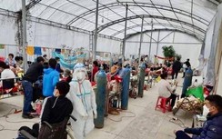 Phát hiện dương tính Covid-19, người phụ nữ uống thuốc diệt rệp tự tử