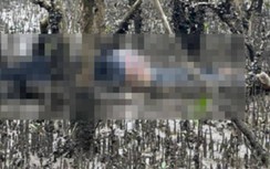 Truy tìm tung tích nam giới tử vong trong bãi sú vẹt ở Quảng Ninh