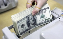 Ngân sách Nhà nước sẽ mua ngoại tệ từ Dự trữ ngoại hối